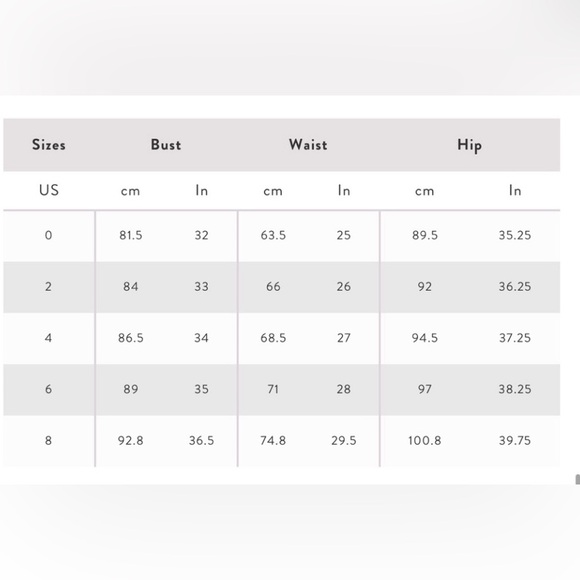 FAME and PARTNERS Francois Bronze Gown - Picture 13 of 13